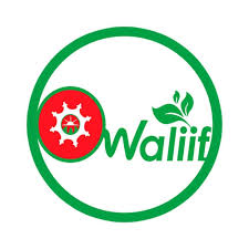 WALIIF Mineral Share Company (New)